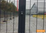 PVC Coated Prison Privacy 358 Anti Climb Security Fencing
