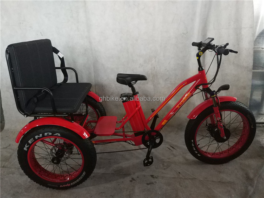 20 Inch 48V 500W 750W 1000W Electric Folding Bike with Fat Tire Max Speed 30-50Km/h