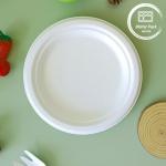 Biodegradable 2 Compartment Bagasse Sugarcane Bento Box - Sustainable Disposable