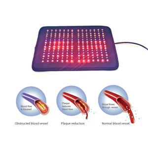 Quality 810nm 660nm 589nm 405nm Red Light Therapy Body Wrap Touch Screen Control wholesale