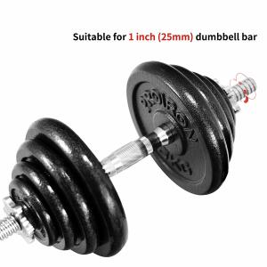 Quality Anti Rust Cast Iron 25kg 5Kg Bumper Weight Plates wholesale