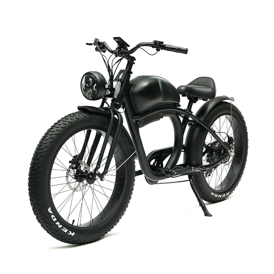 Long Range 48V 750W Rear Hub Motor Electric Motorbike with 48V 20Ah Lithium Battery