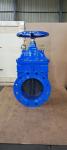 DIN Cast Iron Soft Seat Gate Valve PN16 Non Rising Stem Customized