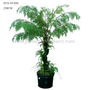 Quality Curving Stem Artificial Fern Tree , Fake Fern Tree Green Lush Foliage 230CM wholesale