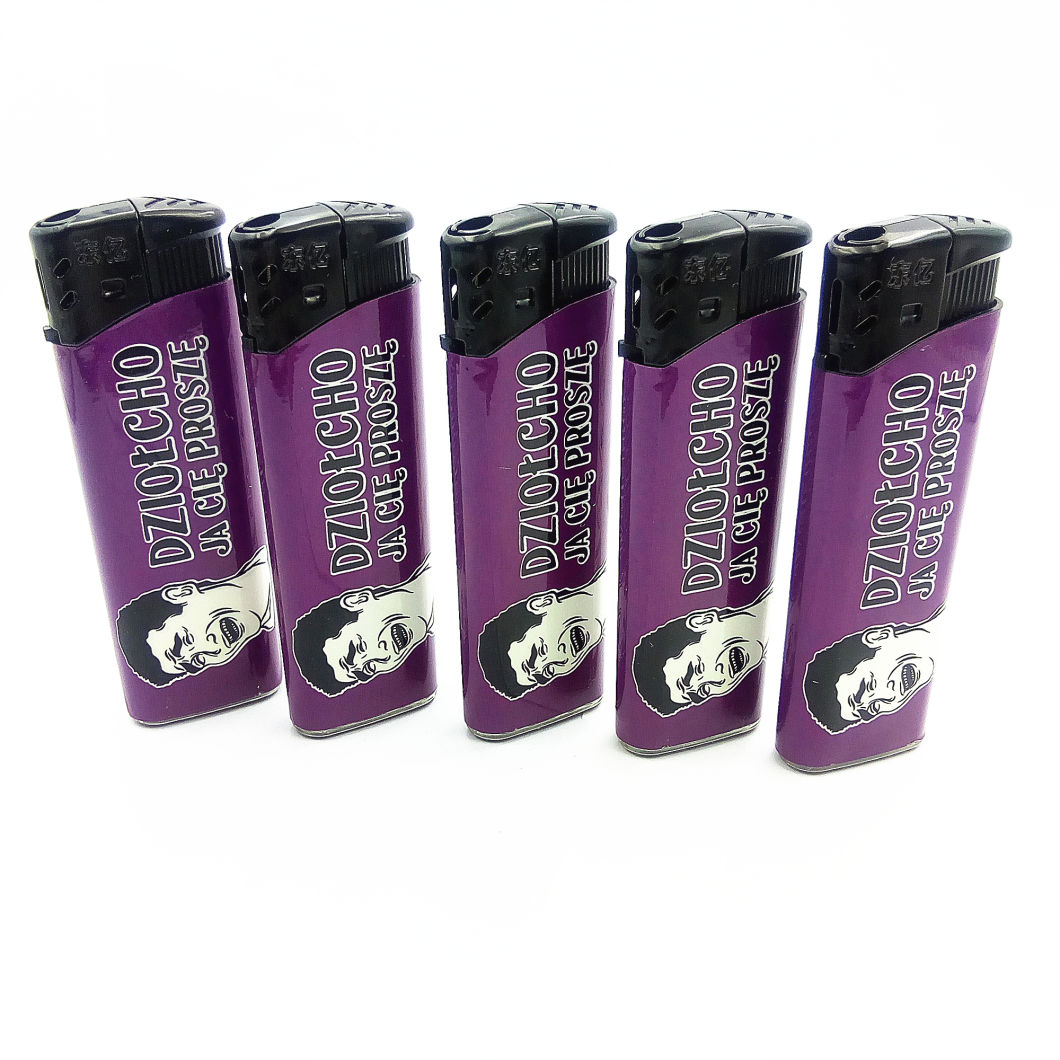 Dy-026 Kind High Quality Disposable Plastic Fashion Gas Europe Lighter