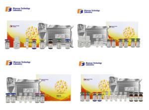 Quality High Precision Canine ELISA Kits Vasoactive Intestinal Peptide With 2 Hours Assay Time wholesale