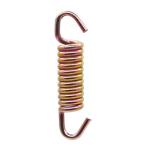 Polishing SS304 65Mn Extension Coil Springs