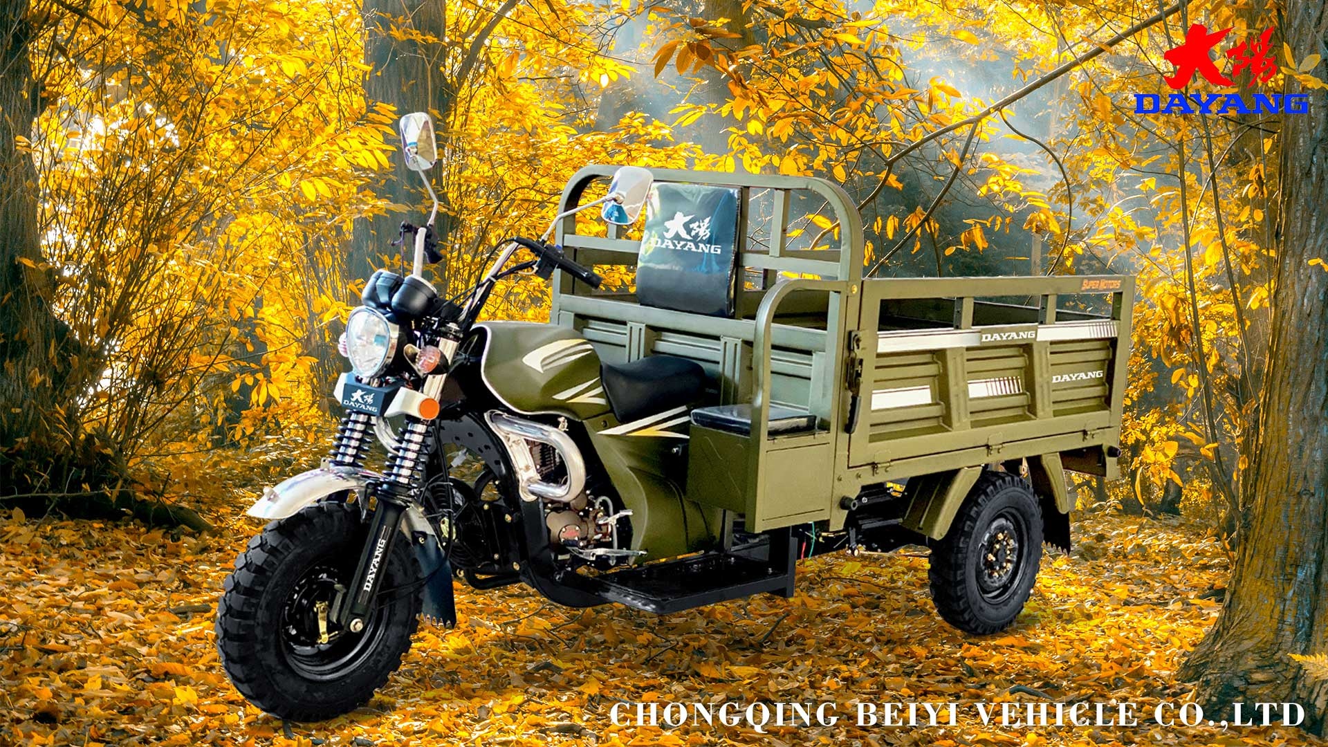 50*100 Chassis 3 Wheel Electric Tricycle Motorcycle in Philippines with Passenger Seat