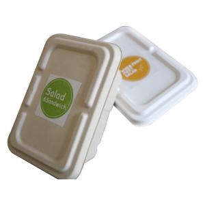 Quality Recycled Compostable Sugarcane Bagasse Food Container Disposable Plant Pulp wholesale