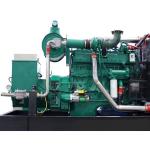 High Durability Biogas Generator Equipment For Power Generation