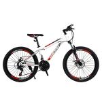 Performance TONGLI MICHANICAL DISC BRAKE Mountain Bike with Steel Rim