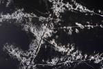 Black Calacata Artificial Quartz Kitchen Countertop With Coherent Pattern
