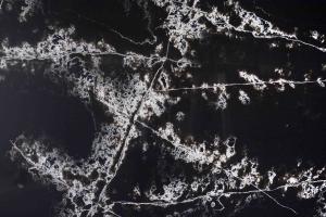 Quality Black Calacata Artificial Quartz Kitchen Countertop With Coherent Pattern wholesale