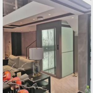Quality Villa Traction Safe Home Elevator 0.6 M/S Single / Three Phase Power Supply wholesale
