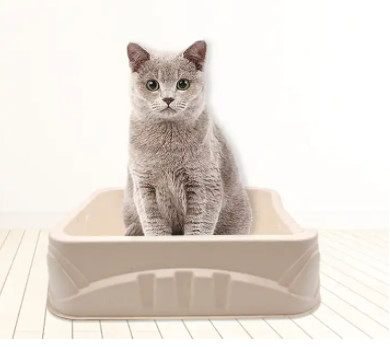 Disposable Cat Litter Box Tray Eco Friendly Biodegradable Dry Press Pulp Mold
