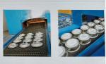 Progressive And Economical Electric Furnace For Bright Annealing Of Stainless
