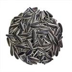 Wholesale bulk biggest size Raw Sunflower Seeds Black White 361 Amazon’s best