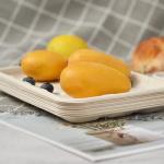 Party Compostable Fruit Meat 220ml Sugarcane Bagasse Tray Disposable Biodegradab