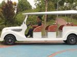 11 Person Electric Classic Golf Cart 48 Volt Lithium Battery ODM