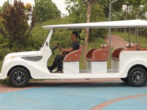 Quality 11 Person Electric Classic Golf Cart 48 Volt Lithium Battery ODM wholesale