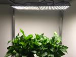 240W Full Spectrum LED Grow Lights