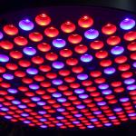 SMD2835 Red Blue 289 Leds Dimmable Plant Growing Lamp