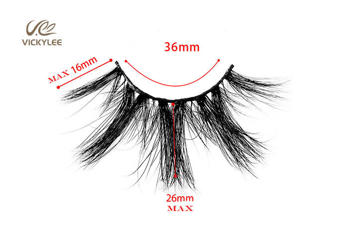 Natural Stereo Reusable 26MM 6D Volume Lashes