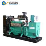 Industrial LPG Generator Sets ISO CE Certification OEM Service Accepted