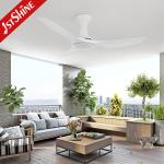 Power Saving AC Motor Plastic Ceiling Fan White Warm Yellow Light