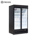 2/3 HP Glass Door Merchandisers R290 GAS Commercial Upright Fridge