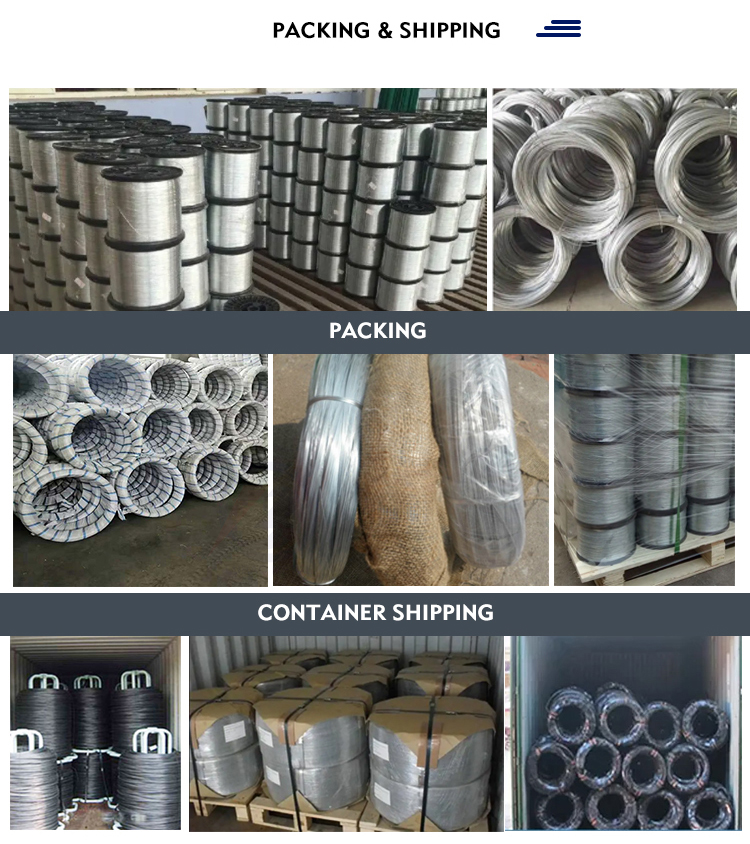Competitive Produce Spring Steel Grade Hot Dipped Galvanized Wire for Barbed Wire Chain Link Fence Welded Wire Hexagonal Mesh