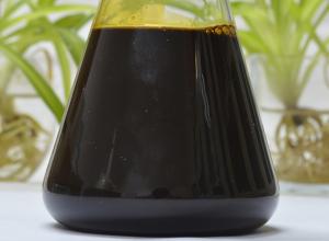 Quality Supercritical CO2 Extraction Cinnamon Oleoresin wholesale