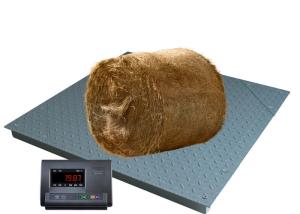 Quality Carbon Steel 1500Kg Electronic Floor Scale With Ramp Digital Floor Scale wholesale