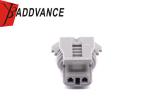 Delphi 2 Pin Female Waterproof Connector With Terminals and Seals For GM