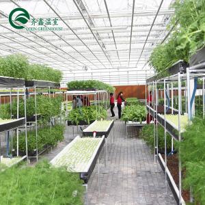 Quality Large Hydroponic Galvanized Steel Pipe For Film Greenhouses in Double or Single Layer wholesale