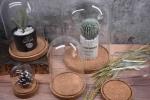 2.5x2.2x0.8 Flower Vase Natural Cork Coasters Base Glass Dome Fadeless