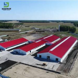 Quality Low Cost Chicken Farm Design Prefabricated Poultry House Sheep Cow Barn Shed wholesale