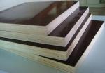 best price film faced plywood