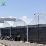 Tropical Climate Custom Size Poly Tunnel Plastic Film Agricultural Sawtooth