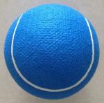 giant inflatable ball inside