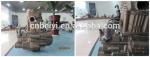300cc Gasoline Water-Cooling Tricycle Engine for Country Markets by Chongqing
