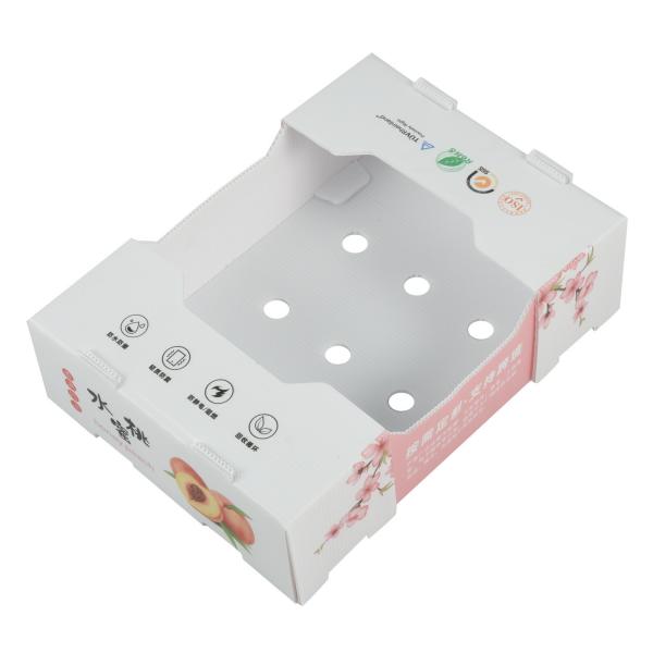 White Rectangular Plastic Corrugated Box Fruit Vegetable Gift Packing Corrugated