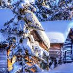 HILHELM Exterior Wood Coating Outdoor Anti Low Temperature Snow Anti Corrosion