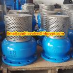PN16 GG25 cast iron foot valve