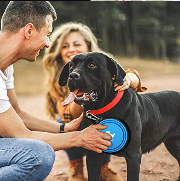Dog Slow Feeder Dog Bowl Water Travel Portable Dog Bowl 350ml 1000ml