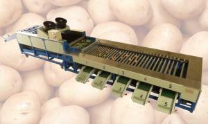Quality Integrated Type Automatic Potato Cleaning and Grader Line wholesale