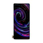 Amoled Rigid Screen 1080*2400 High Resolution Oled Display