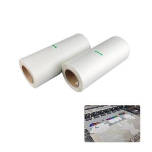 Quality Hot Peel DTF PET Transfer Film Roll Heat Transfer Printing 30cm 60cm wholesale