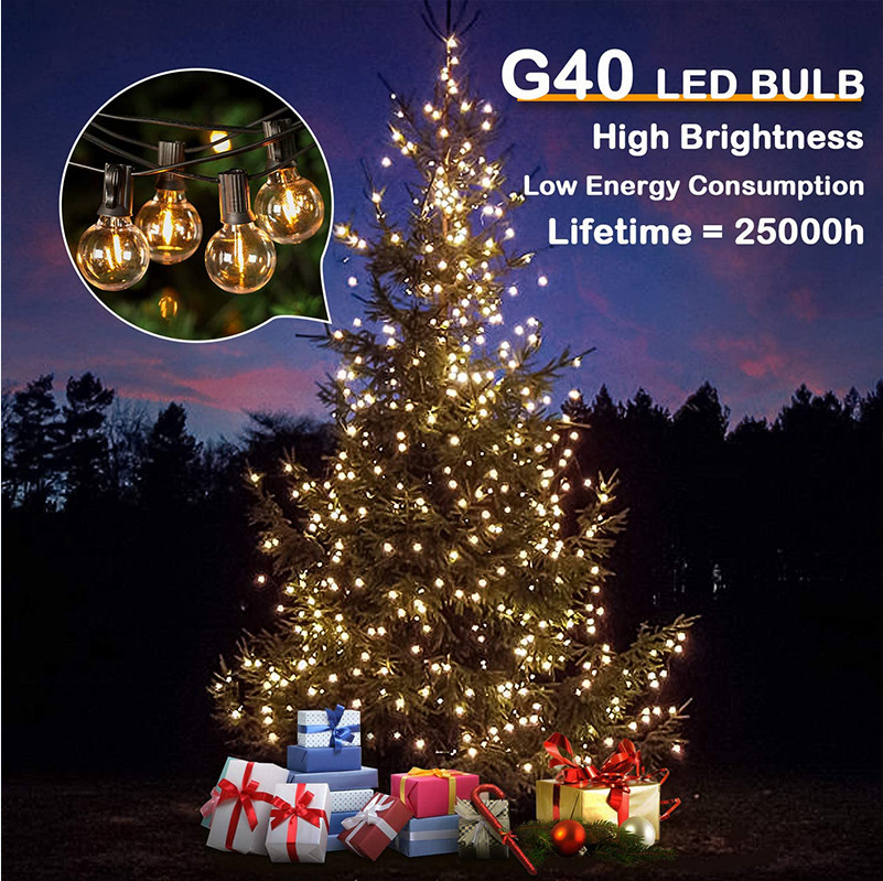 G40 LED String Bulb 2200K Waterproof , 1W 2W LED Edison Bulb
