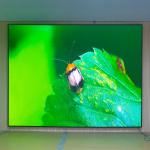 Commercial Advertising Led Display Screen Meeting Room Conference P4